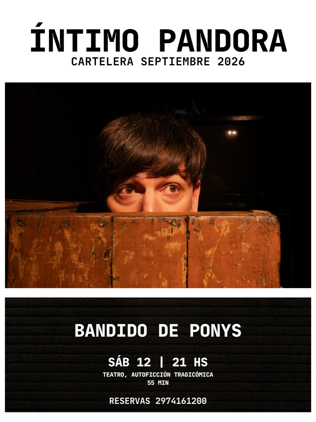 Bandido de Ponys