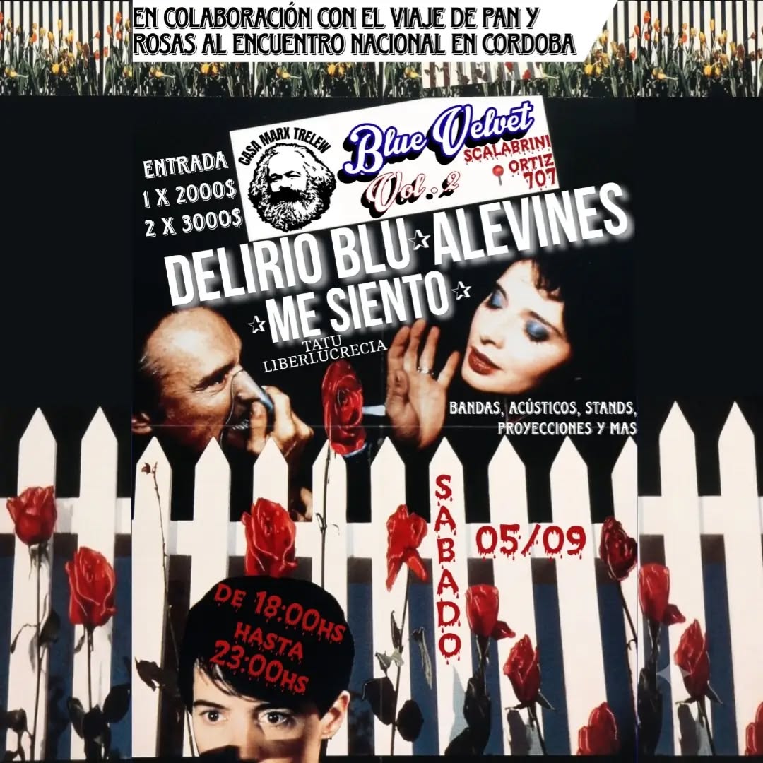 Delirio Blu, Alevines y M3_sient0 en Casa Marx Trelew