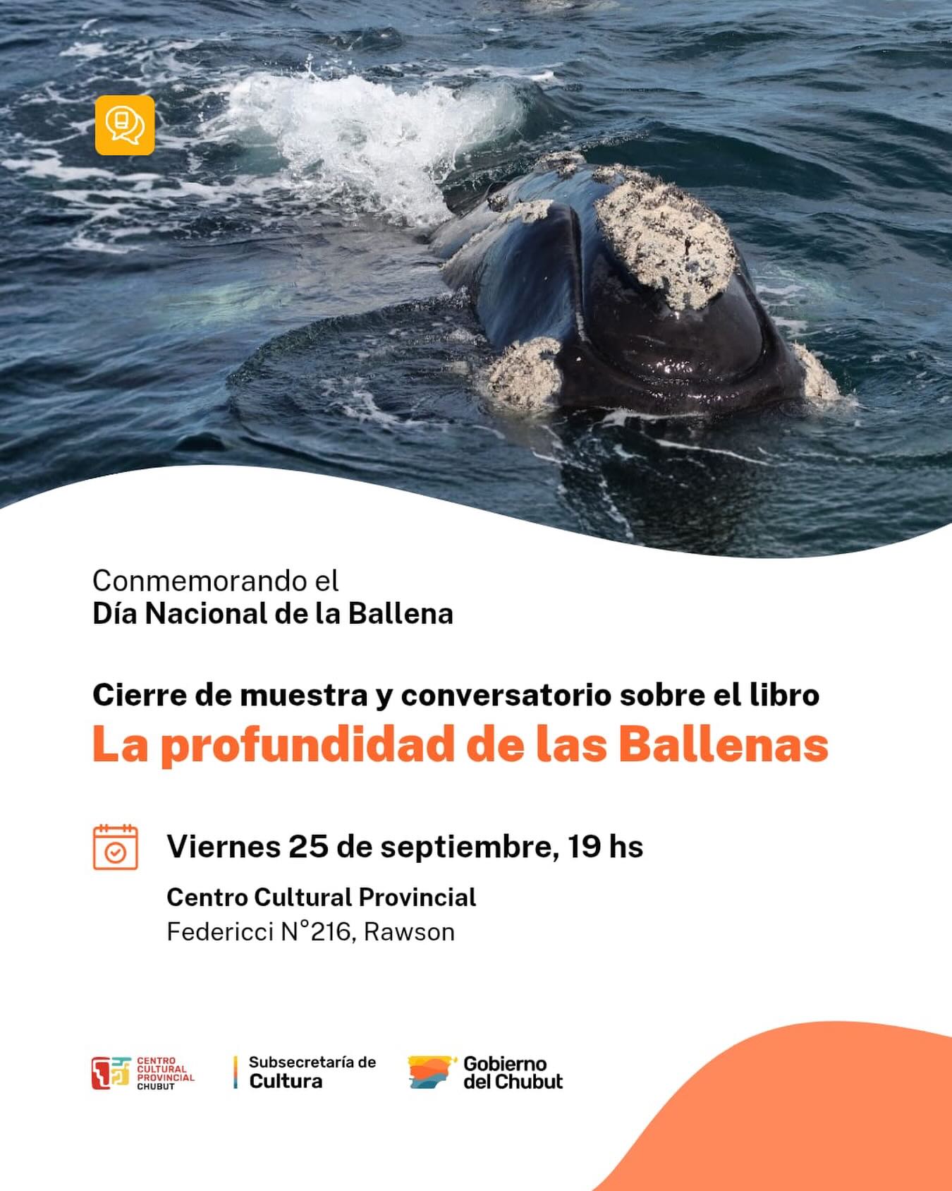 Cierre de Muestra y Conversatorio: “La Profundidad de las Ballenas” de Mariana Lanfiutti