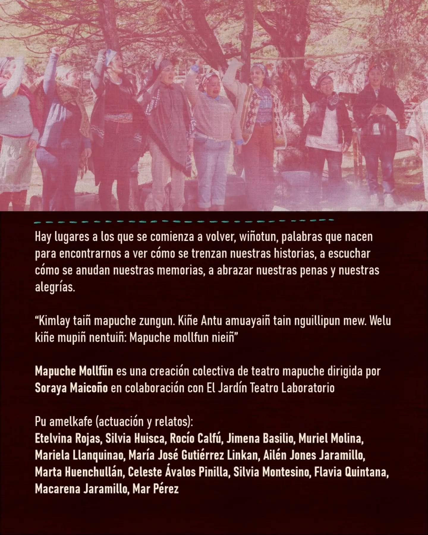 Mapuche Mollfün