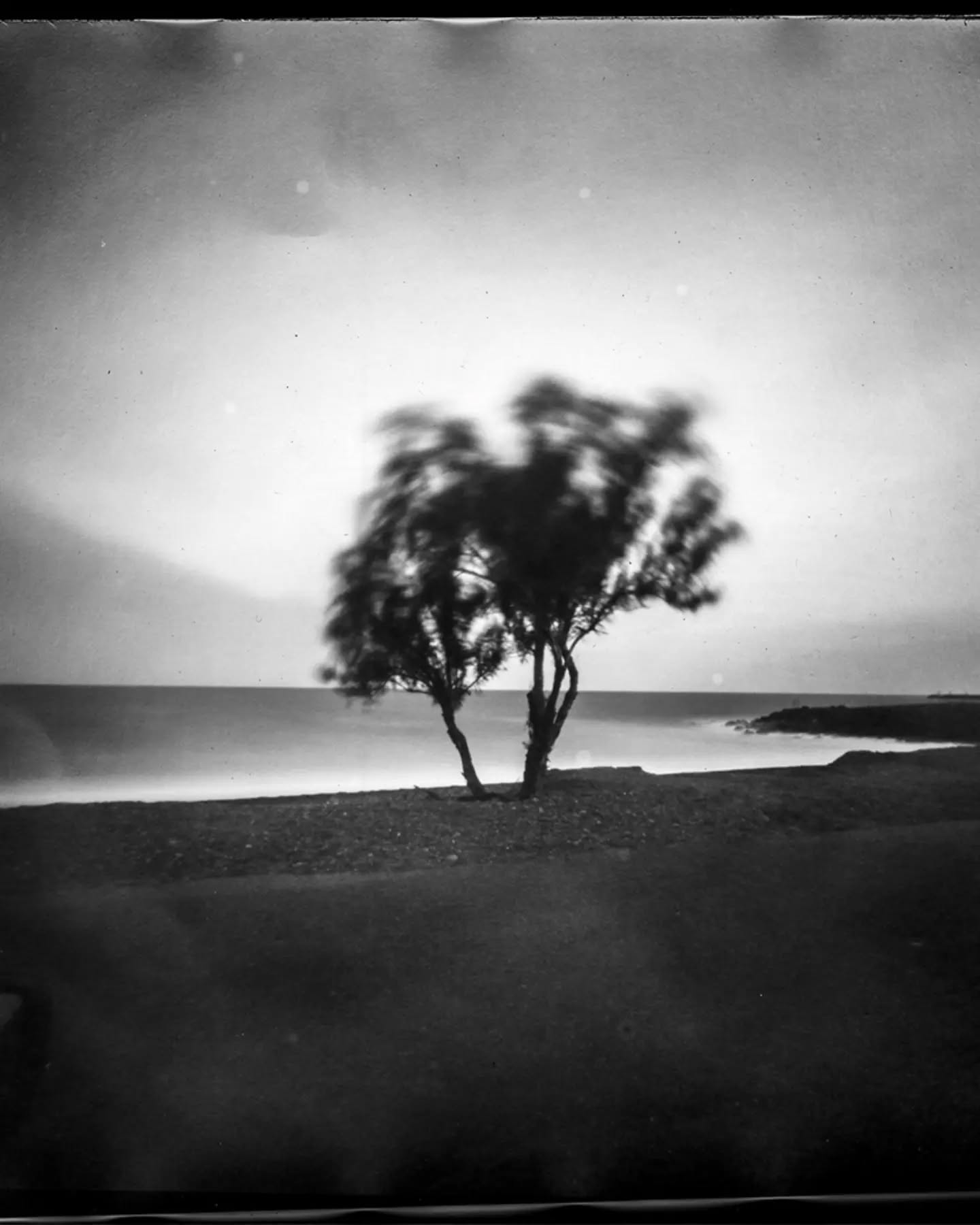 Taller de Fotografía Estenopeica